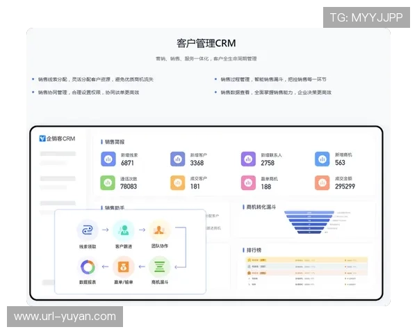 数据分析服务增值，提供决策支持洞察