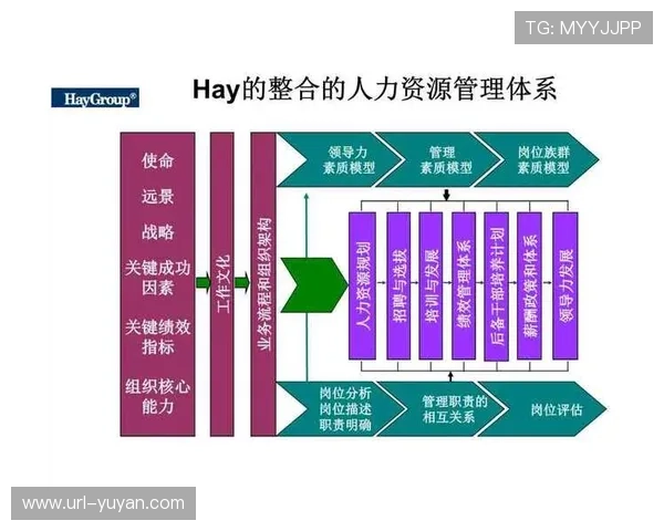 由于订阅模式的深度演进 体育传播服务正逐步构建多层级价值链路 由于订阅模式的深度演进 体育传播服务正逐步构建多层级价值链路